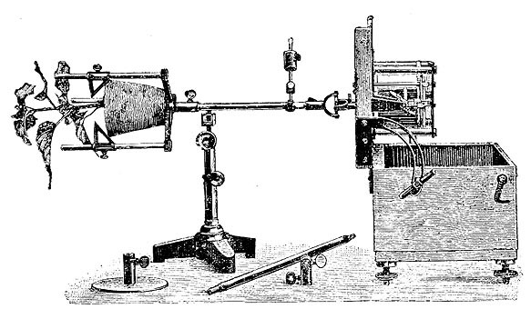 Historischer Klinostat